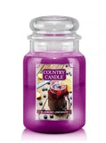 Large scented candle with two wicks Blueberry Lemonade 680g