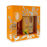 Boboli Citrus set body mist 200ml + body lotion 200ml + hand cream 75ml