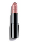 Perfect Color Lipstick lipstick 830 4g