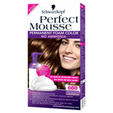 Perfect Mousse color for hair without ammonia 668 Hazelnut