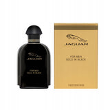 Gold In Black For Men eau de toilette spray 100ml