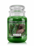 Large scented candle with two wicks Balsam Fir 652g