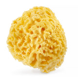 Natural Sea Sponge 03H 12.5cm Yellow