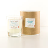 Aromatherapeutic candle Bamboo & Lemongrass 200ml tunes positively