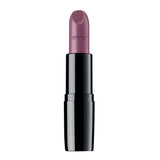 Perfect Color Lipstick 939 Mauve Butterfly 4g